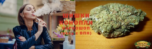 соль ск Богородицк