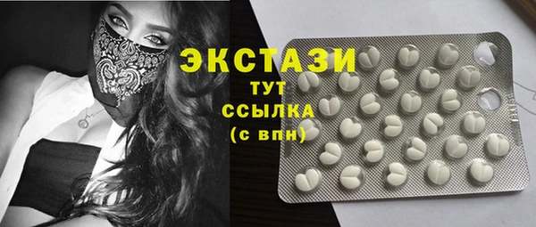 дживик Богородск