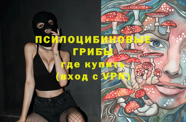 соль ск Богородицк