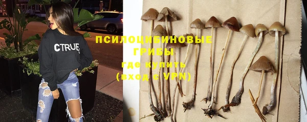 МДПВ Богданович